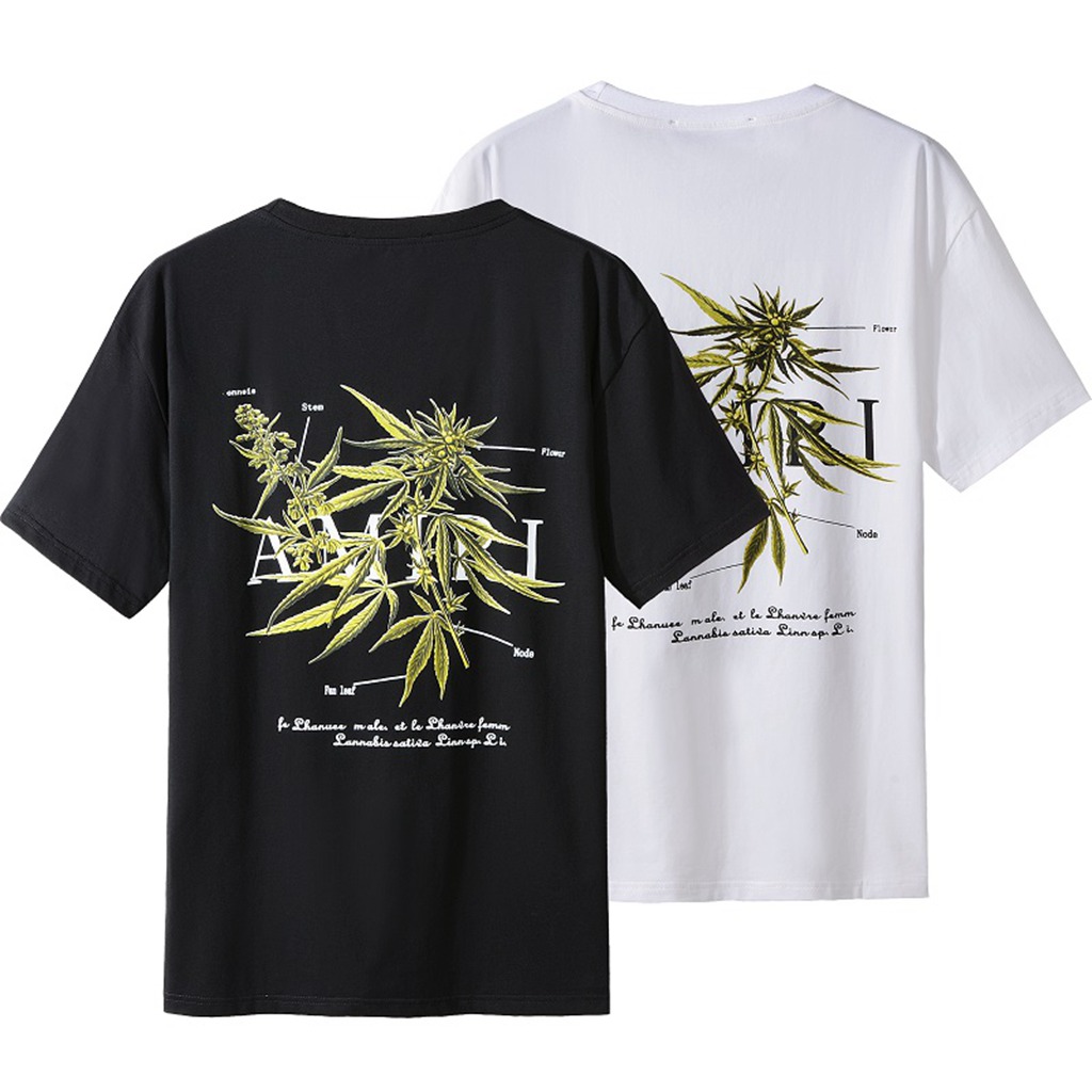 Amiri 2204